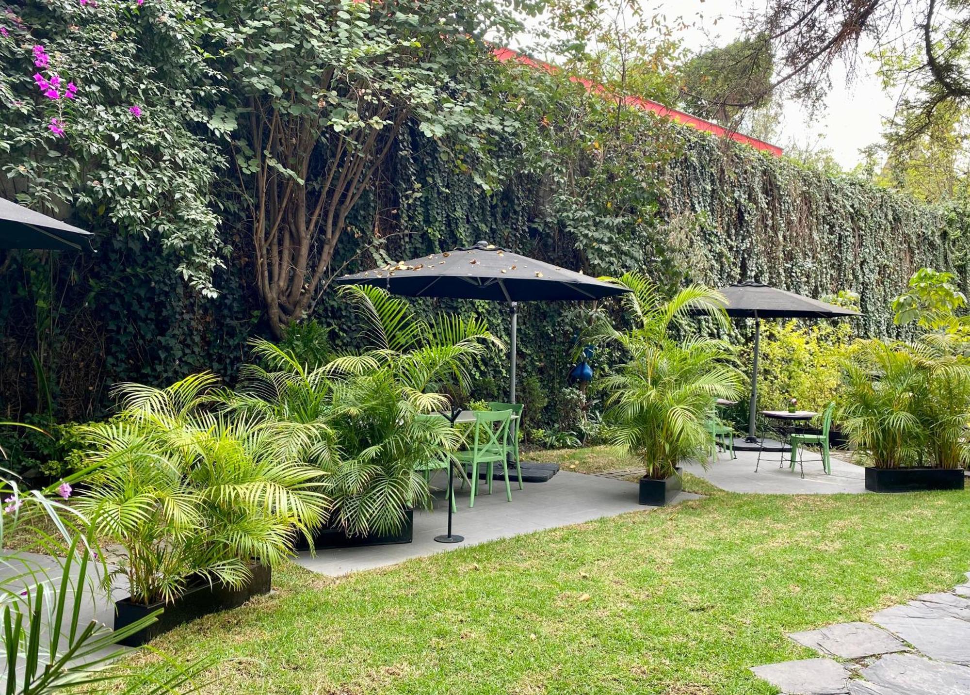 墨西哥城 Pug Seal Polanco Anatole France酒店 外观 照片