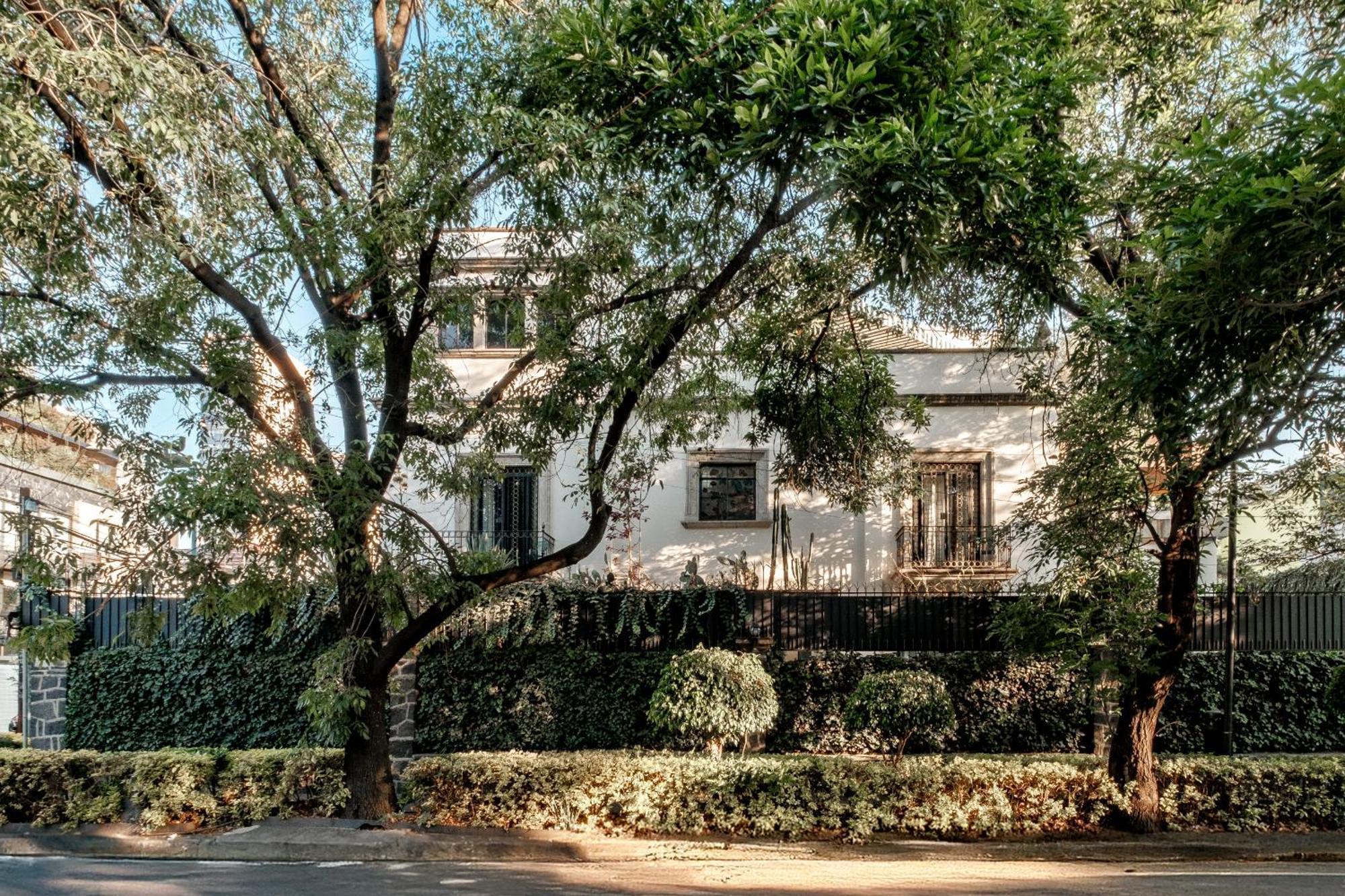 墨西哥城 Pug Seal Polanco Anatole France酒店 外观 照片